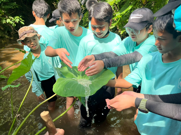 Students exploring a stream and learning about nature during outdoor education.
